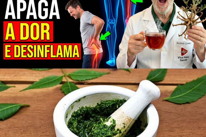 DOR NO CIÁTICO? ESSA PLANTINHA PODEROSA APAGA A DOR DO NERVO CIÁTICO E DEVOLVE SUA LIBERDADE DE MOVIMENTO DE FORMA NATURAL E EFICAZ!
