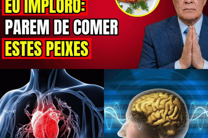 4 Peixes que Podem Destruir Sua Memória e Seu Coração Depois dos 60 – 4 Peixes Que Você Deve Comer para Proteger o Cérebro, o Coração!
