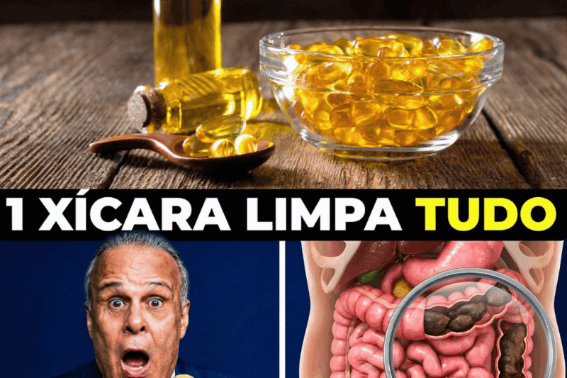 O Erro Silencioso que Está Sabotando Sua Saúde: O Que Você Não Sabia Sobre Seu Intestino e Como Corrigir em 48 Horas