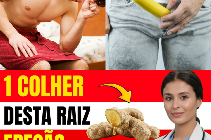 O FIM DO SILÊNCIO MATINAL: A Raiz Esquecida que DEVOLVE a Sua Masculinidade
