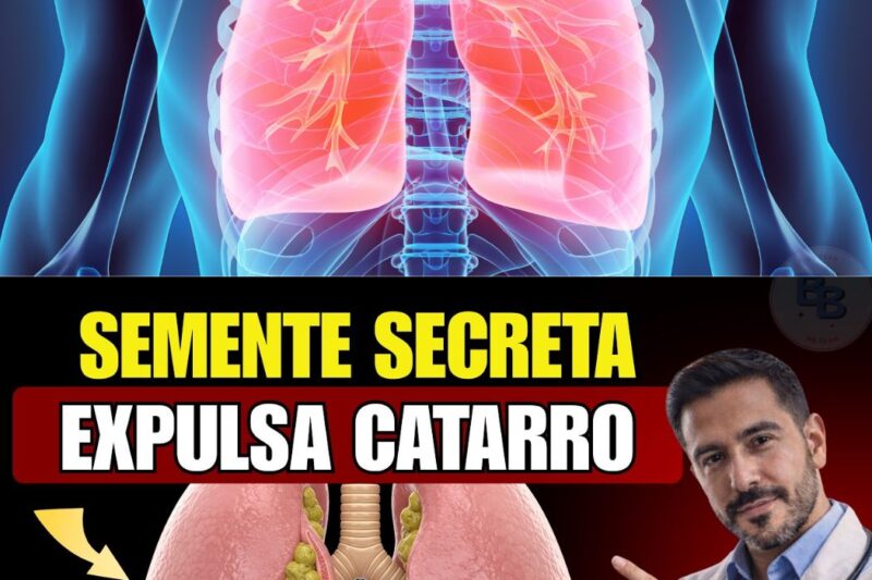 DEPOIS DOS 50: Esta semente poderosa pode ajudar a limpar seus pulmões logo pela manhã! Especialistas confirmam efeitos naturais que eliminam toxinas, melhoram respiração e aumentam energia diária. Homens e mulheres acima de 50 estão surpresos com os resultados. Descubra qual é a semente e como usar corretamente, todos os detalhes estão nos comentários!