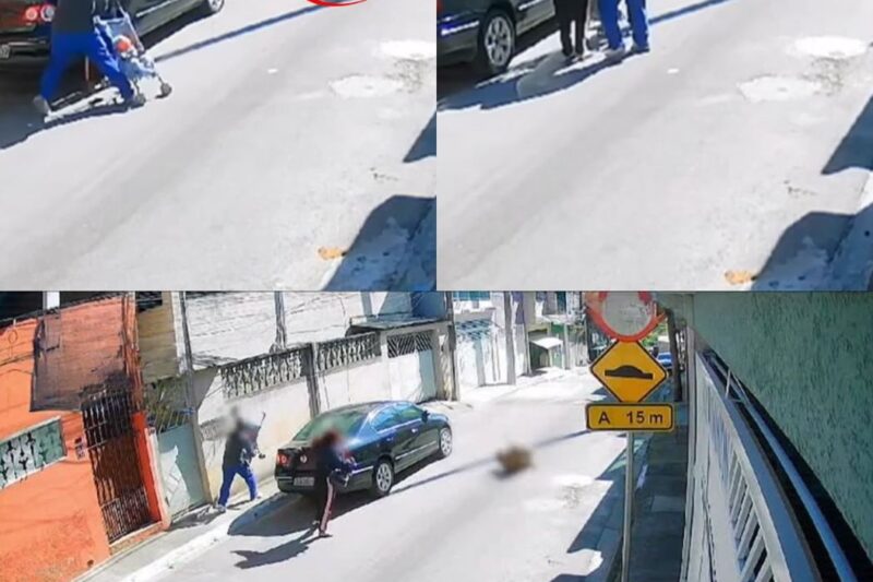 HERÓI DE QUATRO PATAS: Vira-lata “Jaguar” salva bebê de ataque feroz de Pitbull em SP; “Se ele não estivesse lá, meu filho teria sido o alvo”, desabafa pai em choque