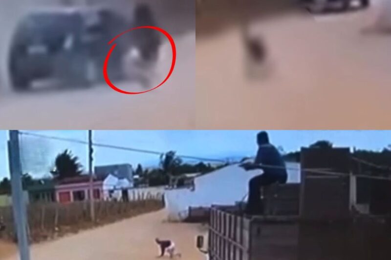 “NA ESTRADA NÃO DÁ PARA VACILAR”: Caminhoneiro reage a assalto, atira em dupla de bandidos e vídeo de “justiceiro” divide a web