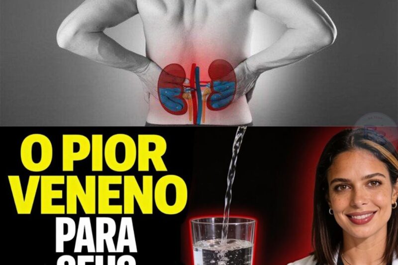 Você sabia que os rins filtram todo o seu sangue cerca de 40 vezes por dia? Eles trabalham sem parar, mas um “veneno” comum que muitos consomem diariamente pode destruí-los silenciosamente. Dra. Adrielle Castro alerta sobre 4 hábitos fatais que levam milhares à hemodiálise anualmente. O pior: os rins não doem enquanto morrem. Descubra o vilão número 1 que pode estar na sua geladeira ou farmácia e aprenda como proteger sua saúde renal hoje mesmo! Veja detalhes no comentário fixado.