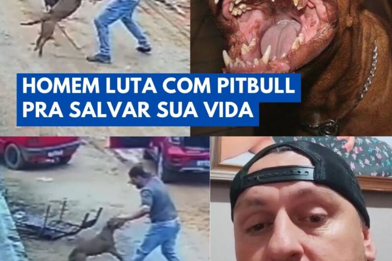 Portão aberto, pitbull solto e um morador no chão: ataque em São João Batista expõe o risco que começa onde termina o cuidado dos tutores