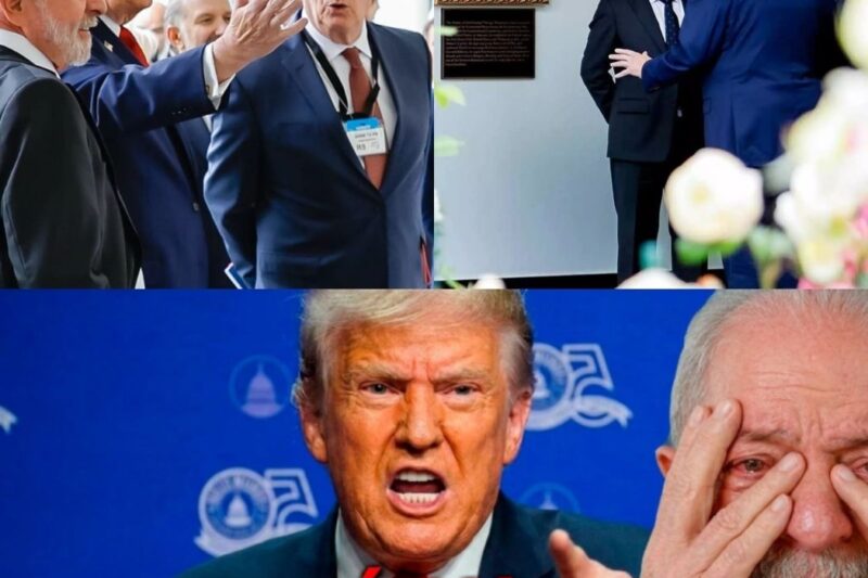 O Encontro Diplomático que Virou um Vexame: Trump Exclui Lula da Foto Oficial e O Humilha em Reunião