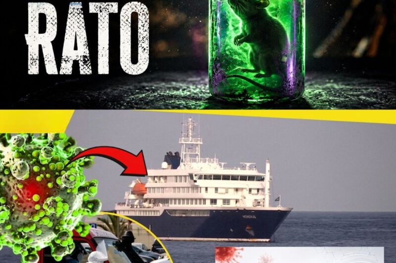 Hantavírus: “navio da morte” no Atlântico transforma cruzeiro de luxo em alerta global, mas OMS descarta nova pandemia