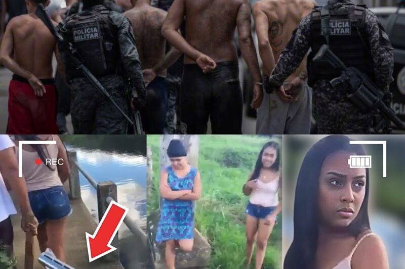 NOVINHAS ACABARAM CAINDO NO TRIBUNAL DO CRIME