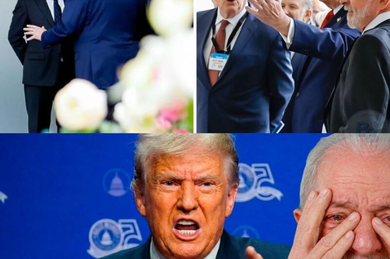 Os bastidores ocultos de uma cúpula internacional de alta tensão explodiram em um escândalo político sem precedentes que paralisou a diplomacia brasileira. Relatórios confidenciais revelam que o presidente Donald Trump tomou a decisão drástica de excluir o presidente Lula da fotografia oficial e ordenar a expulsão imediata de um delegado da Polícia Federal de uma reunião à porta fechada. O preço de descompassos institucionais foi cobrado com uma crueza que deixou a comitiva petista em estado de pânico, resultando em um rastro de profunda indignação. Descubra os detalhes reais e a reconstrução linear desse confronto avassalador acessando a matéria completa no link dos comentários.