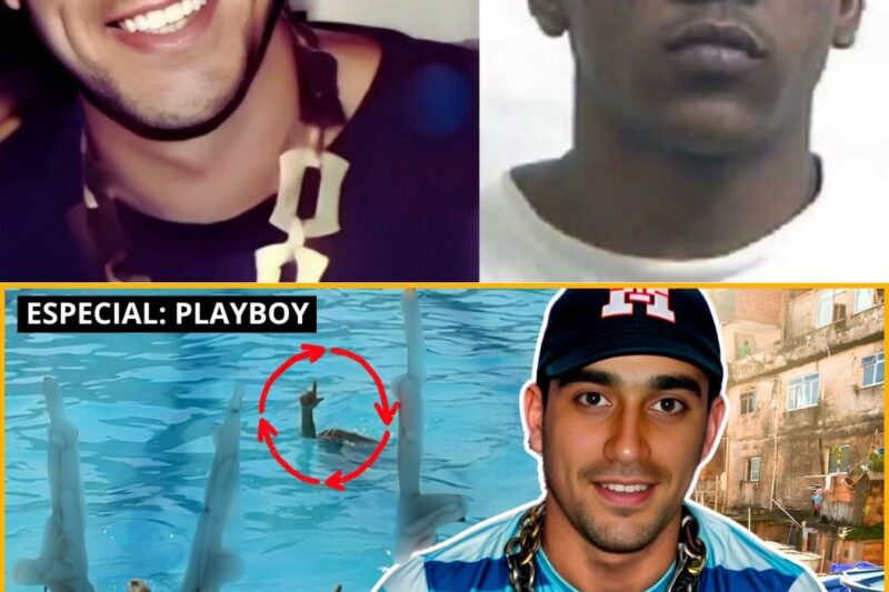 Playboy da Pedreira: da classe média ao terror armado das favelas do Rio