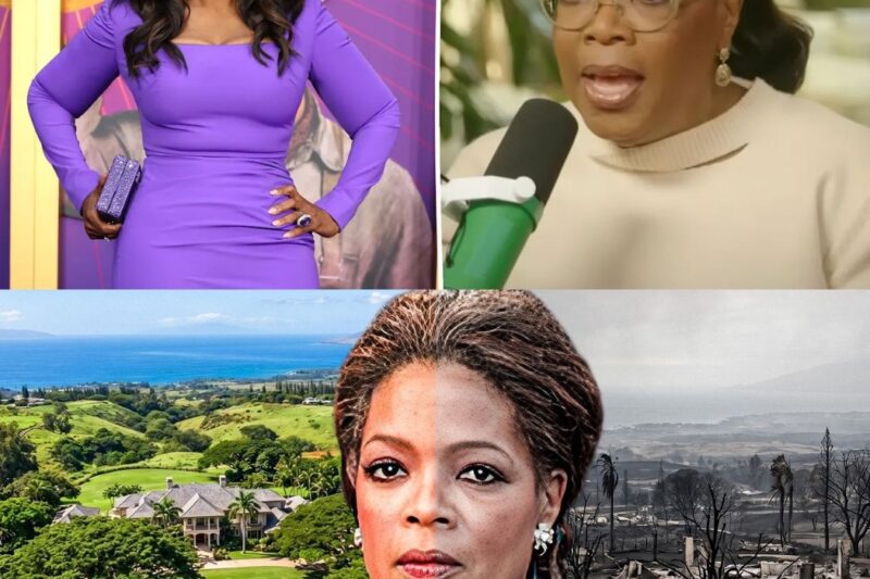 A propriedade de Oprah em Maui após o incêndio ainda é difícil de se olhar.