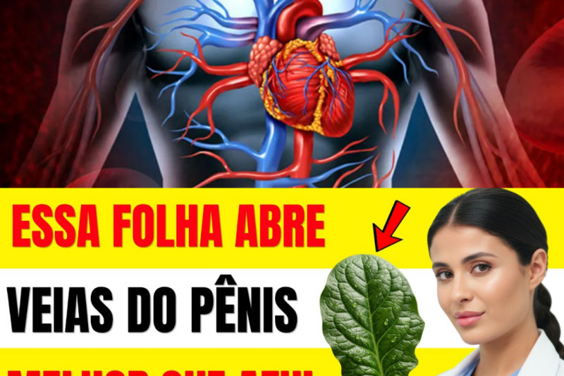 A folha da noite que virou alerta entre homens acima dos 55: o segredo simples que ninguém relacionava com a intimidade, o sono e a circulação