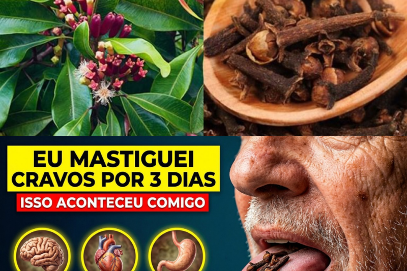 O SEGREDO MATINAL QUE RENOVA SEU CORPO: Como um único hábito pode limpar toxinas e restaurar energia após os 50