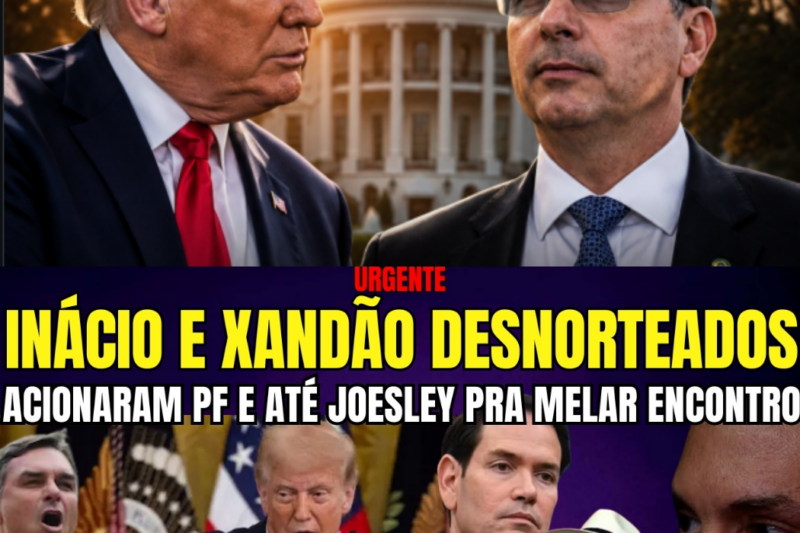 Desespero, Bastidores e Interferência: Flávio Bolsonaro e a Operação para Reverter sua Crise Política