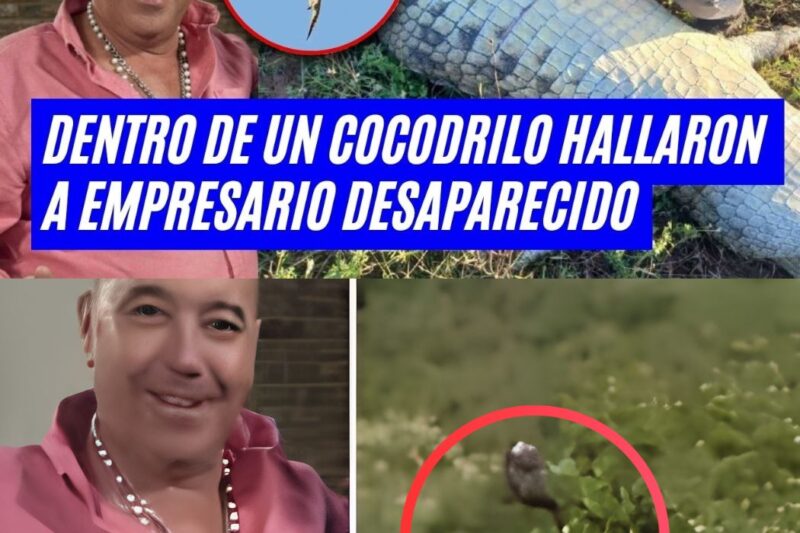 Empresário Desaparece em Rio na África do Sul: Corpo é Encontrado Dentro de Crocodilo