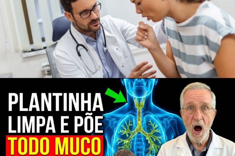 Catarro Preso? Descubra Como Uma Planta Simples Pode Eliminar o Muco e Limpar Suas Vias Respiratórias
