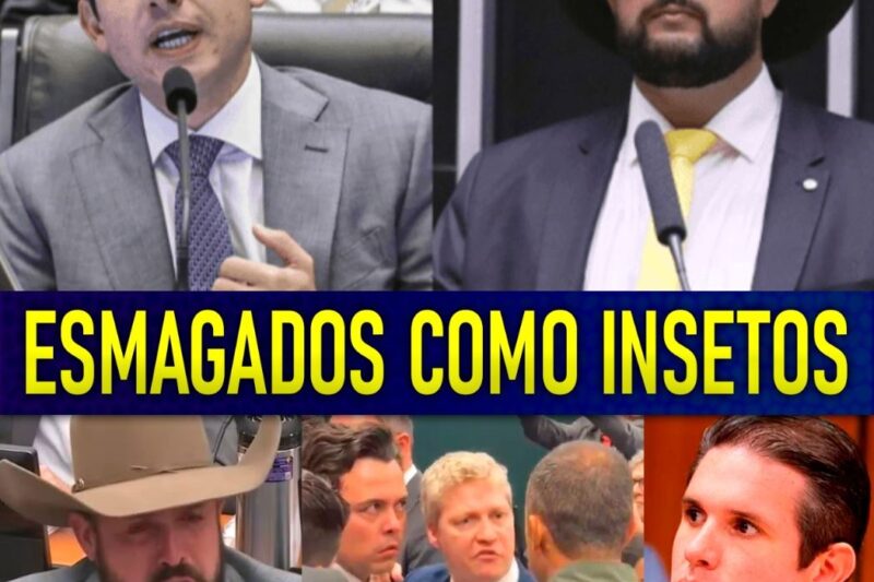 PF ACIONADA PRA PRENDER BOLSONARlSTA E DEPUTADO CHORA AO VIVO EM DESESPERO!! DIA TERRÍVEL PRA ELES!!