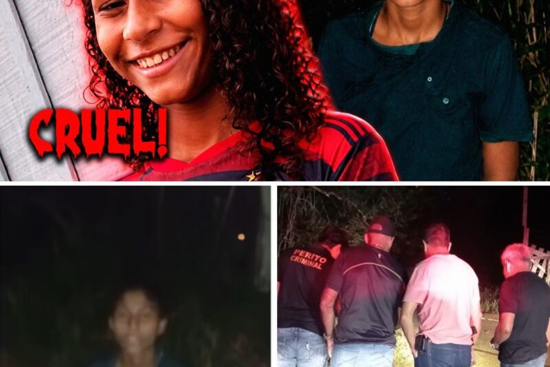 “VOCÊS VÃO MESMO ME MATAR?”: O DRAMA DE NILMARA E O TRIBUNAL QUE NÃO ACEITA ERROS NAS REDES SOCIAIS