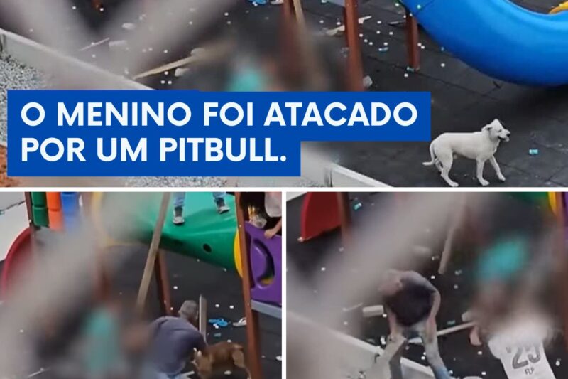 “ELE SÓ ESTAVA BRINCANDO!”: DONO DE PITBULLS REVOLTA PAIS AO CULPAR CRIANÇA E ATACAR FAMÍLIAS QUE TENTARAM SALVAR MENINO DE 10 ANOS
