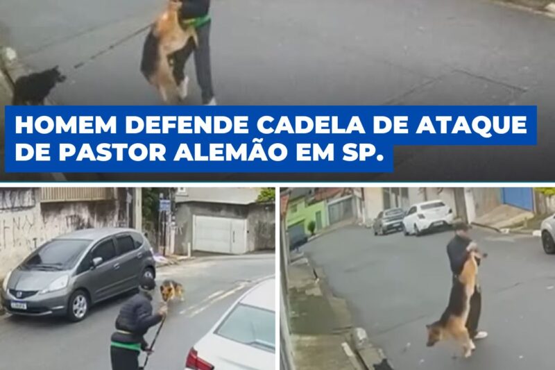 “EU OFERECI MINHA PRÓPRIA CARNE PARA ELE NÃO MATAR MINHA CADELA!”: PORTEIRO VIRA ESCUDO HUMANO EM ATAQUE BRUTAL DE PASTOR ALEMÃO EM DIADEMA