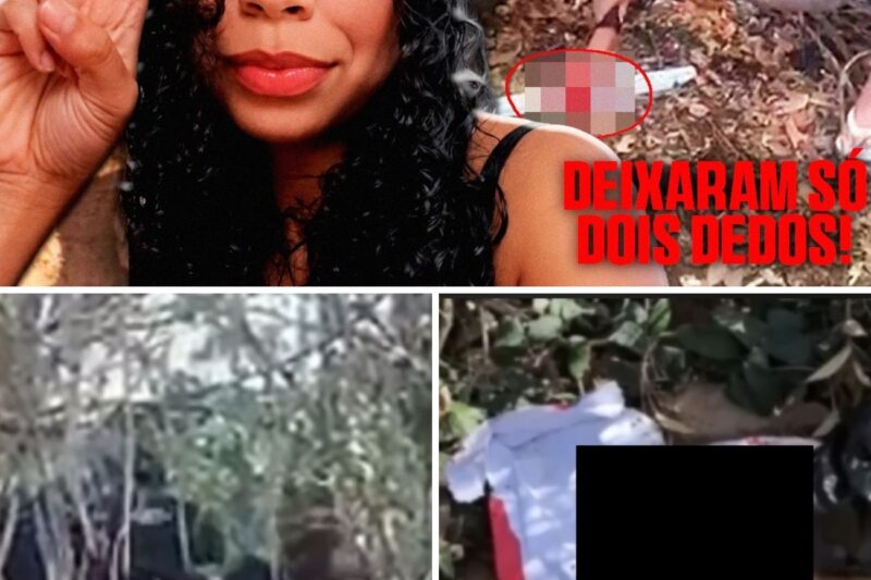 “EU NÃO FIZ NADA, ME DEIXEM VOLTAR PRO MEU BEBÊ!”: O calvário de Sara Cristina e a marca da crueldade em Porto Seguro