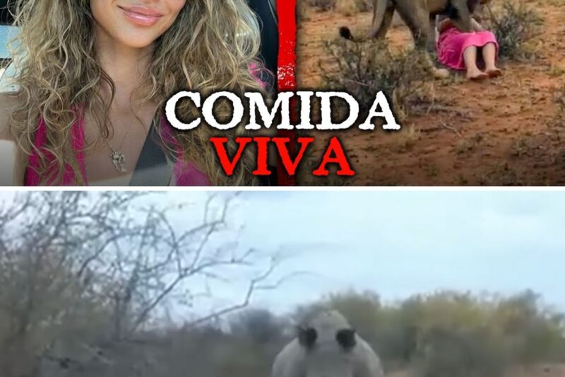 “MÃE RINOCERONTE NÃO QUER SABER DE SEU INSTAGRAM!”: A trágica morte de Isabella Cruz e o preço fatal da busca por engajamento e fotos perfeitas em safáris ao redor do mundo