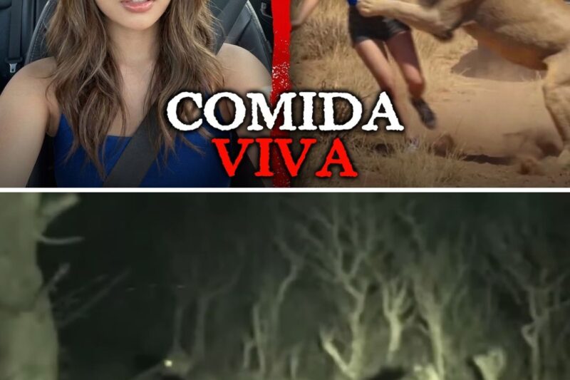 “SAI DO MEU PÉ, VOCÊ NÃO MANDA EM MIM! EU JÁ FIZ ISSO MIL VEZES!”: O trágico destino da influenciadora Thessaly Vankamp, que xingou o guia de safári e acabou sofrendo uma investida fatal de hienas na África do Sul