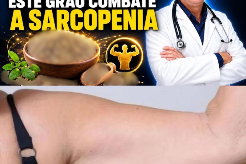 Mais de 60 Anos? A Ciência Médica Revela o Grão que Combate a Sarcopenia e Reconstrói Músculos Rapidamente