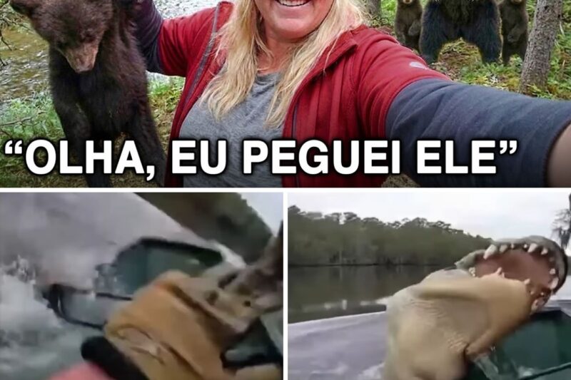 “EU TENHO UM CURRÍCULO COM SETE ARTIGOS PUBLICADOS, EU SEI O QUE ESTOU FAZENDO!”: A arrogância acadêmica de Patrícia Caldwell que terminou nas mandíbulas do crocodilo ‘Old Fang’ 