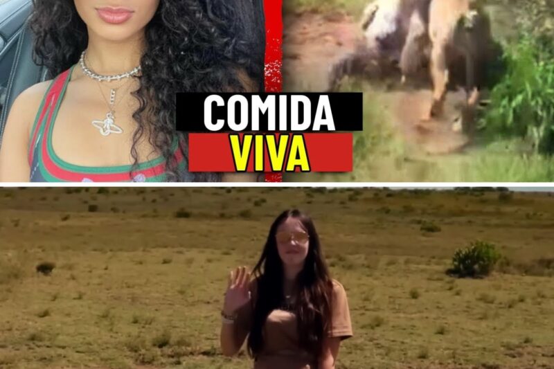 “NÃO BUZINA, SAMUEL, EU PRECISO DA FOTO PERFEITA PARA O MEU INSTAGRAM!”: A trágica imprudência de Delaney Brooks, devorada viva por leão de 180 kg no Quênia após violar normas de segurança em busca de engajamento digital