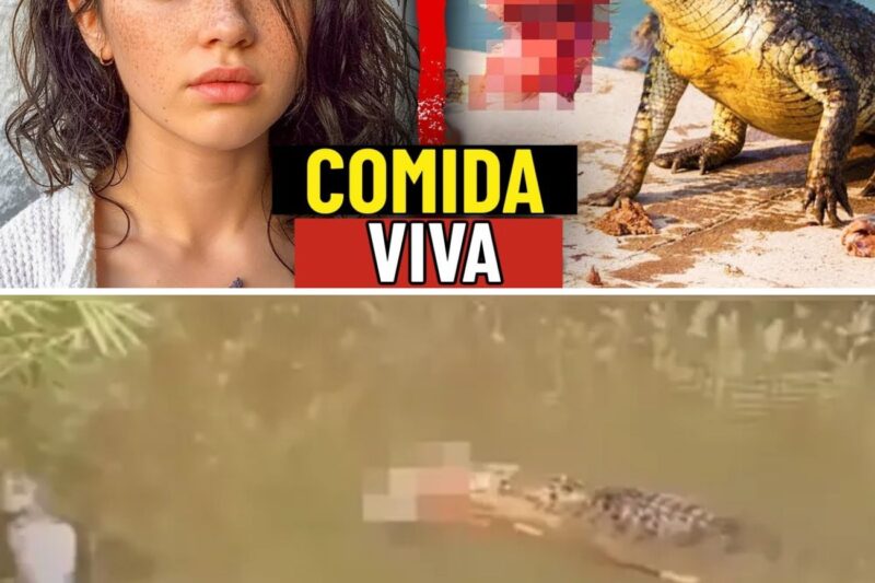 “ELES ME DISSERAM QUE ERA SEGURO MANTER A DISTÂNCIA, MAS O MONSTRO DE SEIS METROS SALTOU DA ÁGUA EM DOIS SEGUNDOS!”: A crônica do desastre no Parque Nacional de Kakadu, onde uma fotógrafa destemida acabou caçada e neutralizada por um predador pré-histórico de uma tonelada