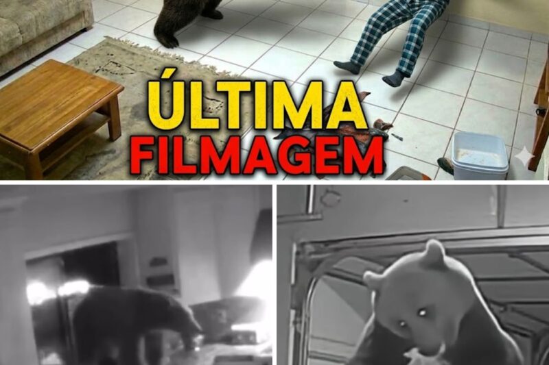 “VOCÊ DEIXOU A JANELA DA COZINHA ABERTA? O MONSTRO JÁ ESTÁ LÁ DENTRO RASGANDO TUDO E SÓ FALTA VOCÊ DESCER!”: O trágico fim de Cleth, o idoso que facilitou a entrada de um urso pardo de 800 libras em sua própria casa no Alasca após cometer erro fatal com resíduos de peixe