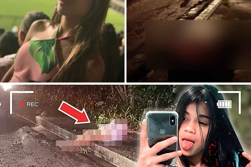 “POR FAVOR, MATEUS, NÃO ME MATA NÃO! ME DÁ SÓ UM TIRO NAS COSTAS, MAS NÃO TIRA MINHA VIDA!”: O tribunal paralelo atrai para emboscada fatal após afrontas na internet e silencia a vítima em estrada deserta