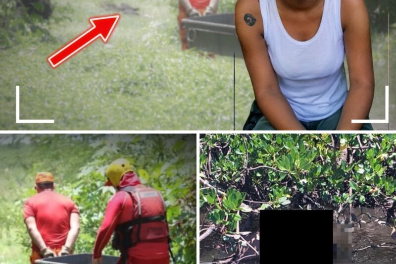 “POR FAVOR, JÁ TÁ BEM QUENTINHO, VIU? CORTA LOGO!”: Últimos Momentos de Nara Alini, Darcielle Anselmo e Ingrid Teixeira,  Executadas em Fortaleza por Ordem Vinda de Dentro do Presídio