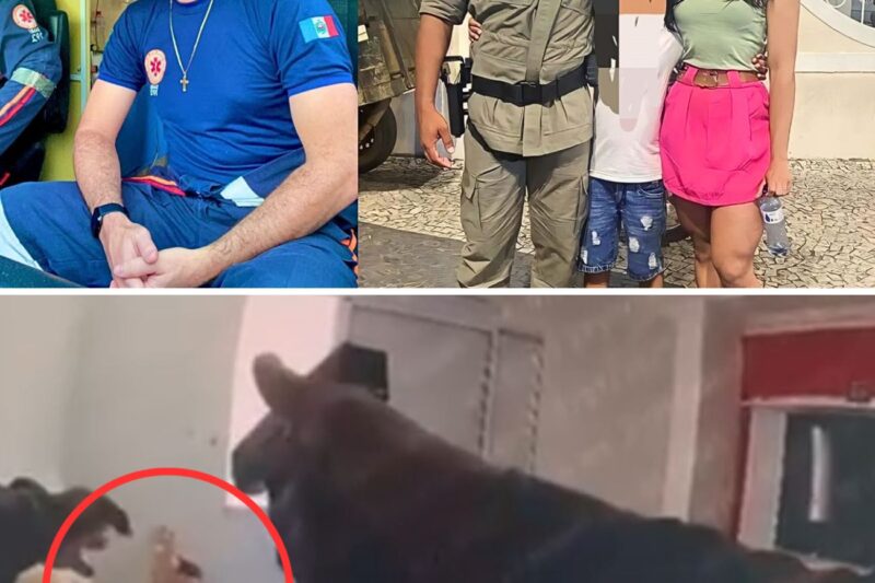 “EU JÁ DESCONFIAVA E SÓ PRECISEI DE UM RASTREADOR NO CARRO PARA DAR O BOTE FATAL!”: Como o Monitoramento por GPS e o Treinamento Tático de um Policial Militar Culminaram na Execução de um Enfermeiro Dentro de uma Suíte de Motel