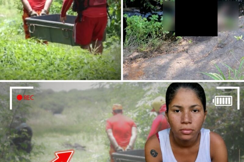“POR FAVOR, JÁ TÁ BEM QUENTINHO, VIU? CORTA LOGO!”: Guerra de Facções e a Sentença de Morte Exarada do Presídio Que Levou Três Jovens à Barbárie em um Manguezal Isolado de Fortaleza