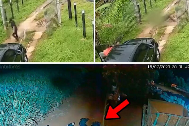 “ESSES DAÍ NUNCA MAIS ABORDAM NINGUÉM A SAIR DE UM SÍTIO, VÃO COMPRAR O QUE ESTÃO À PROCURA!”: Onda de Invasões Rurais Sofre Revés Sangrento após Policial e Peões Armados Reagirem a Assaltos no Interior com Tiros de Caçadeira e Amarras em Cercas