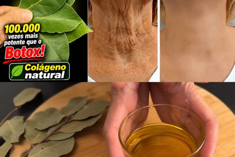 A VERDADE MÉDICA SOBRE A PLANTA “MILAGROSA”: ANÁLISE DO ÓLEO BOTÂNICO QUE PROMETE SUBSTITUIR O BOTOX E ESTIMULAR O COLÁGENO NATURAL