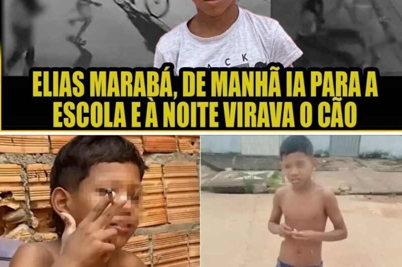 Vinte condenações criminais antes dos 13 anos e um fim trágico: Seria devido a uma natureza inerentemente anormal ou a uma “brecha” mortal no sistema educacional e jurídico?