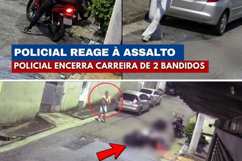 Entre a Calma e o Confronto: A Noite em que a Caça se Tornou Caçadora em uma Rua Silenciosa