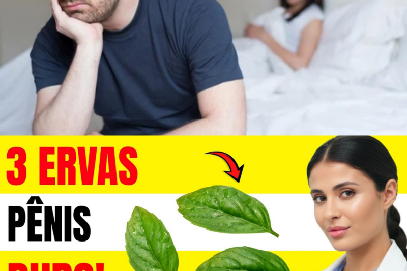 3 Ervas que podem reativar a função sexual masculina em 7 dias: guia completo para homens acima dos 60