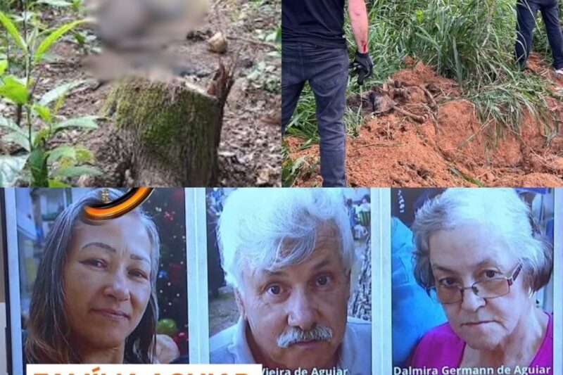 Polícia diz que corpos de família desaparecida podem estar em área de mata