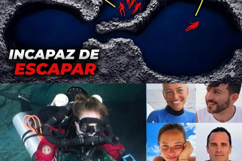 NOVAS EVIDÊNCIAS: O Que Realmente Selou o Destino dos 5 Mergulhadores Italianos na Tragédia das Cavernas das Maldivas?