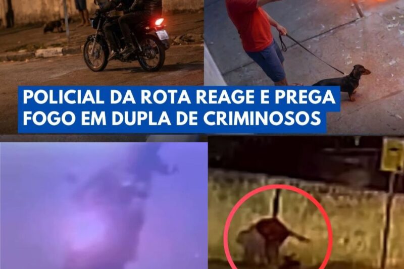 Sob a Lente do Acaso: Instinto, Tática e Sobrevivência na Reação de um Policial da ROTA a um Ataque Covarde