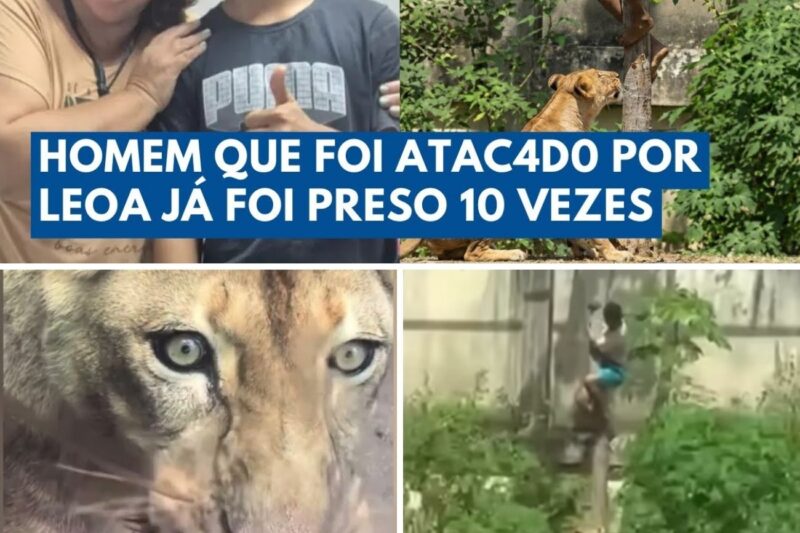 INVASÃO FATAL E PÂNICO: O momento exato em que jovem ignora gritos de socorro e DESCE para a morte na jaula dos leões em João Pessoa