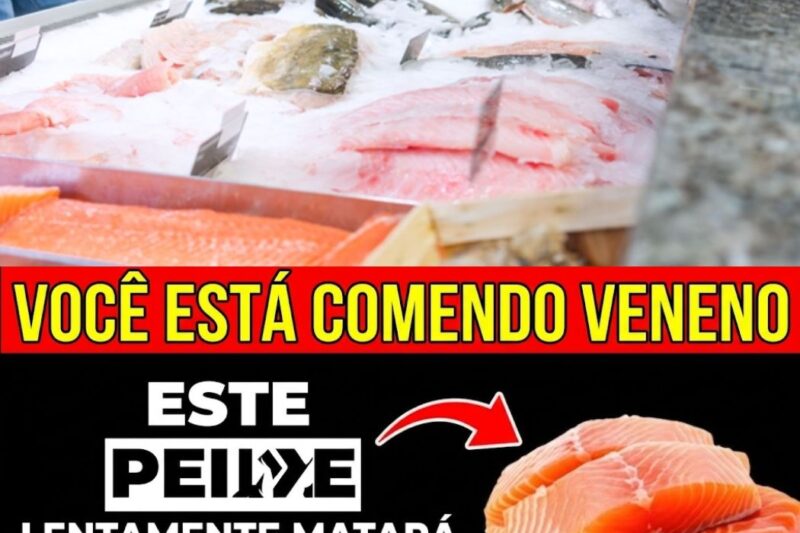 4 tipos de peixe que você PRECISA comer – e 4 que você NUNCA deve tocar.