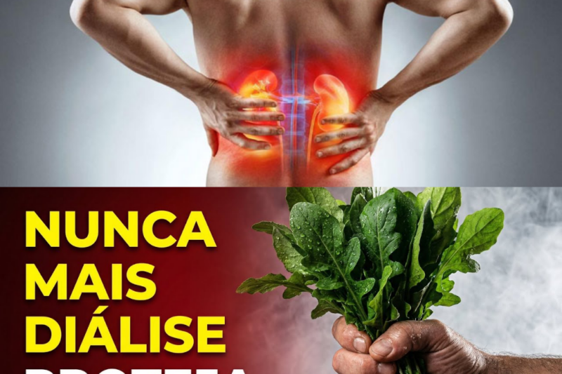 Alerta Urgente: O Que Você Está Comendo Está Prejudicando Seus Rins! Descubra Agora Como Proteger Seu Corpo!
