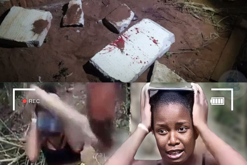 A justiça paralela não perdoa e o terror tomou conta das ruas! Três casos brutais de tribunais do crime revelam como vidas são decididas em segundos por quem não tem autoridade legal. De uma jovem torturada por uma dívida de drogas a um mototaxista executado por estar no lugar errado, a frieza dos criminosos é de arrepiar. O que acontece quando um castigo planejado sai do controle? As imagens são fortes e o desfecho é de uma crueldade sem limites. Entenda agora os bastidores dessas execuções que chocaram o Brasil e veja o que a polícia descobriu no link dos comentários!