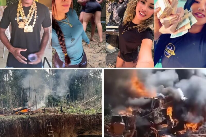 O PREÇO DA GANÂNCIA: Jovens Abandonam Tudo pela Corrida do Ouro na Selva e Enfrentam o Terror da Destruição Absoluta