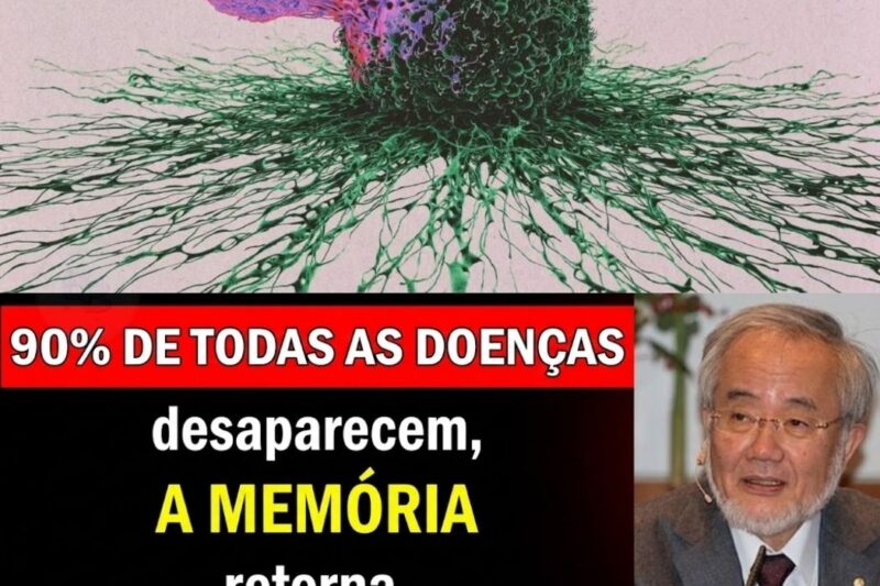 O Renascimento da Limpeza Celular: Como o Legado dos Laureados Japoneses com o Prêmio Nobel Desvenda o Processo de Envelhecimento